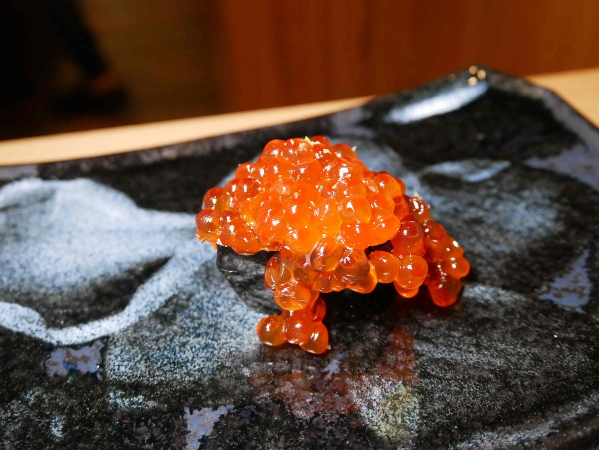 P1800519.jpg P1800519.jpg