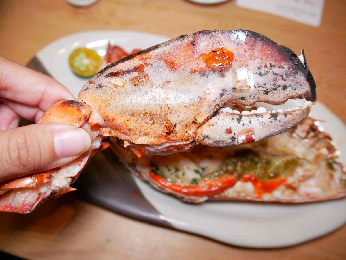 P1800527.jpg P1800527.jpg