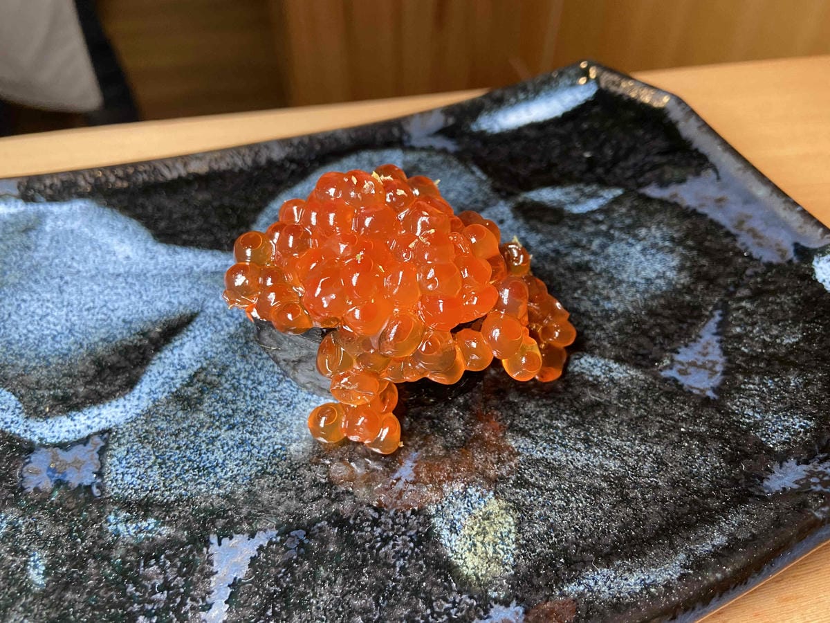 IMG_6953.jpg IMG_6953.jpg