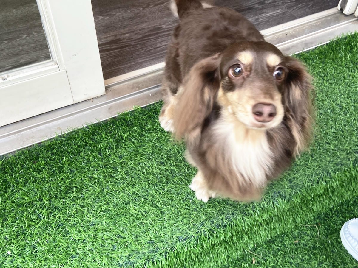 IMG_7359_副本.jpg IMG_7359_副本.jpg