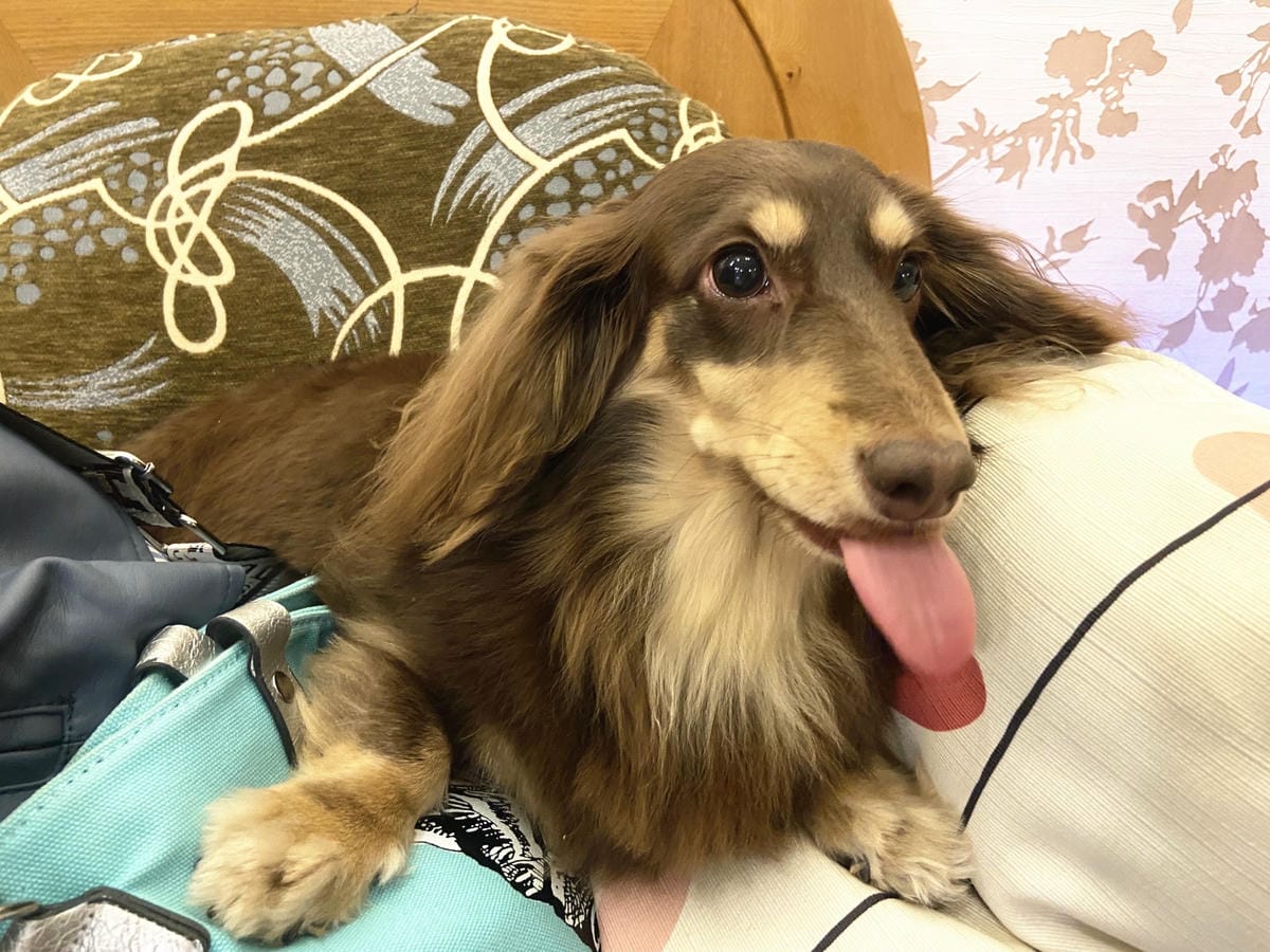 IMG_7409_副本.jpg IMG_7409_副本.jpg