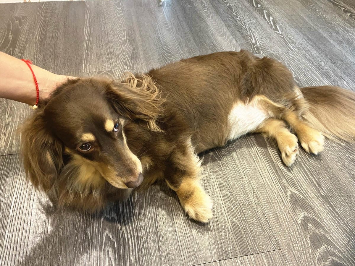 IMG_7393_副本.jpg IMG_7393_副本.jpg