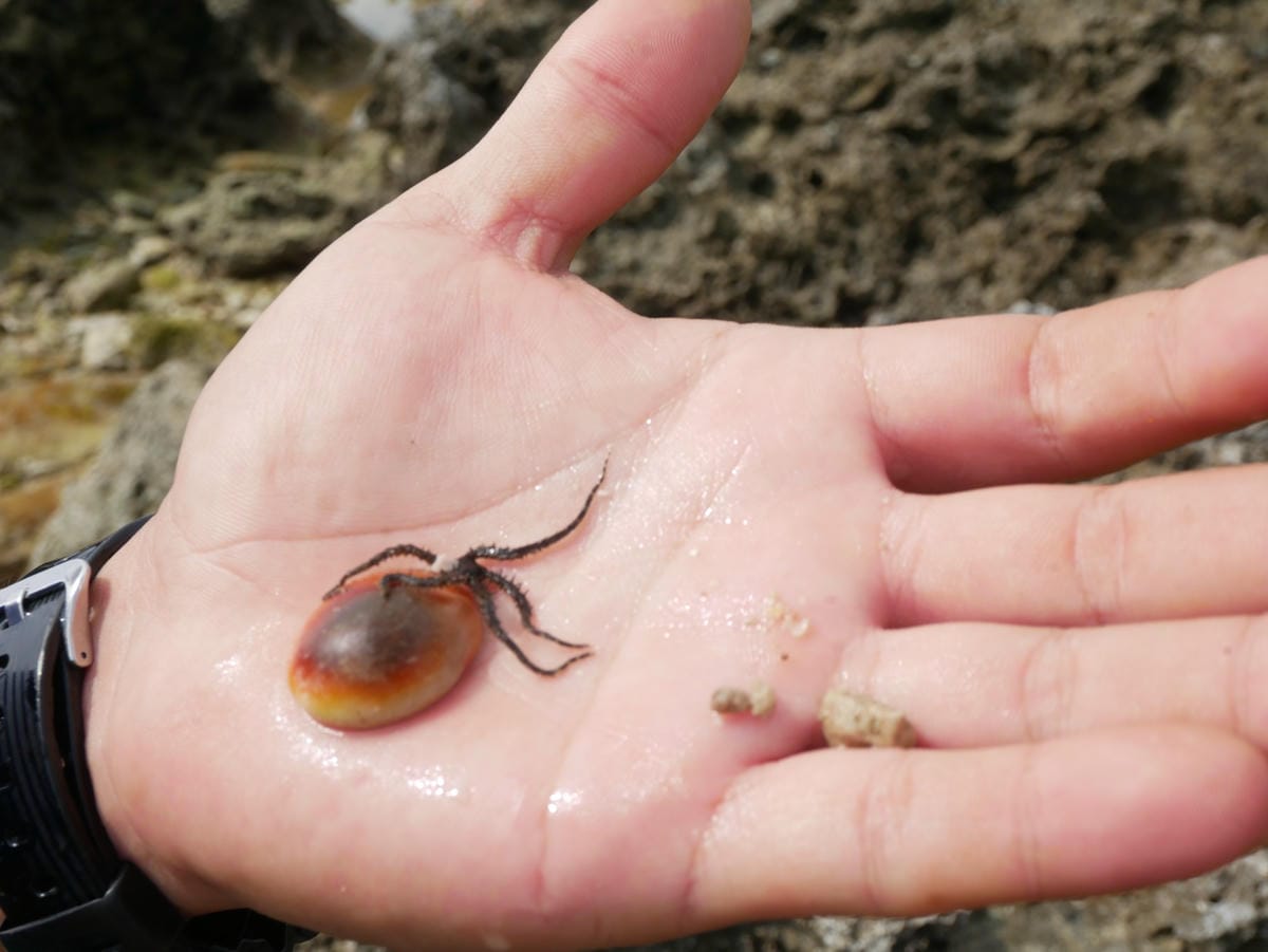 P1800037_副本.jpg P1800037_副本.jpg