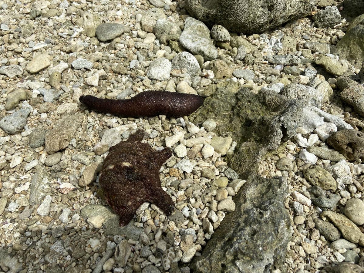 IMG_6772_副本.jpg IMG_6772_副本.jpg