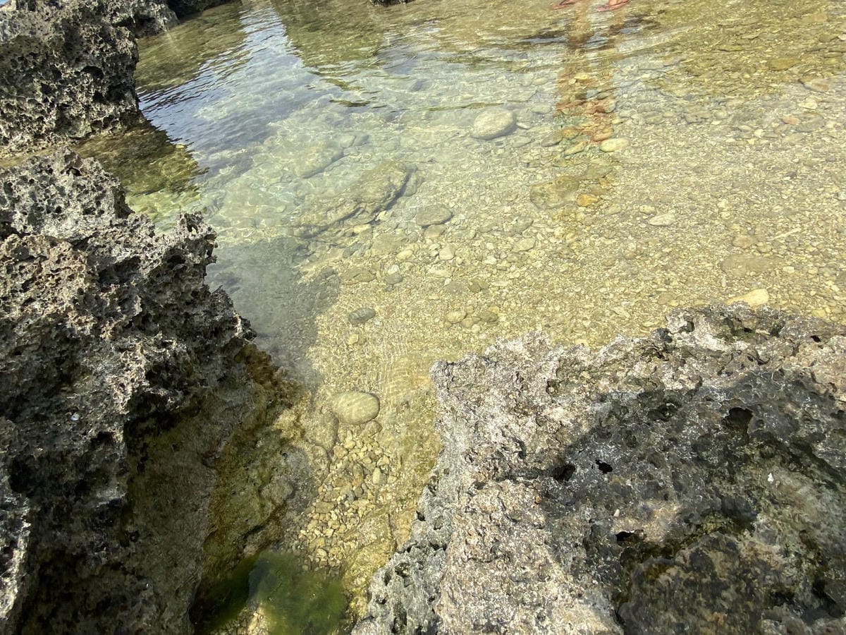 IMG_6756_副本.jpg IMG_6756_副本.jpg