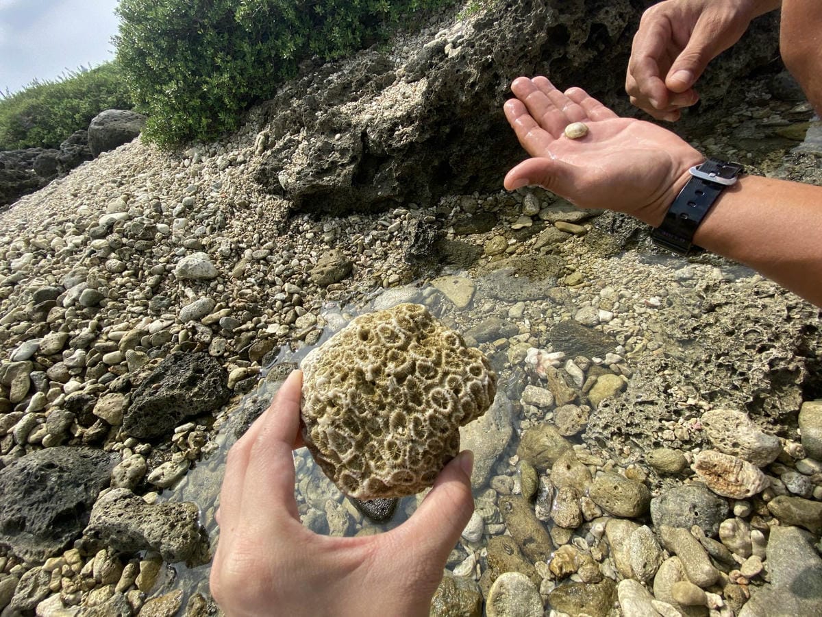 IMG_6751_副本.jpg IMG_6751_副本.jpg