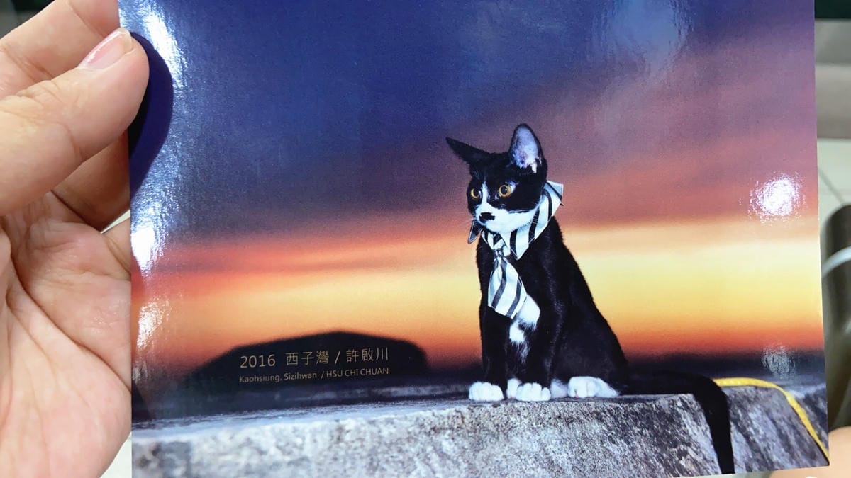 IMG_8798_副本.jpg IMG_8798_副本.jpg