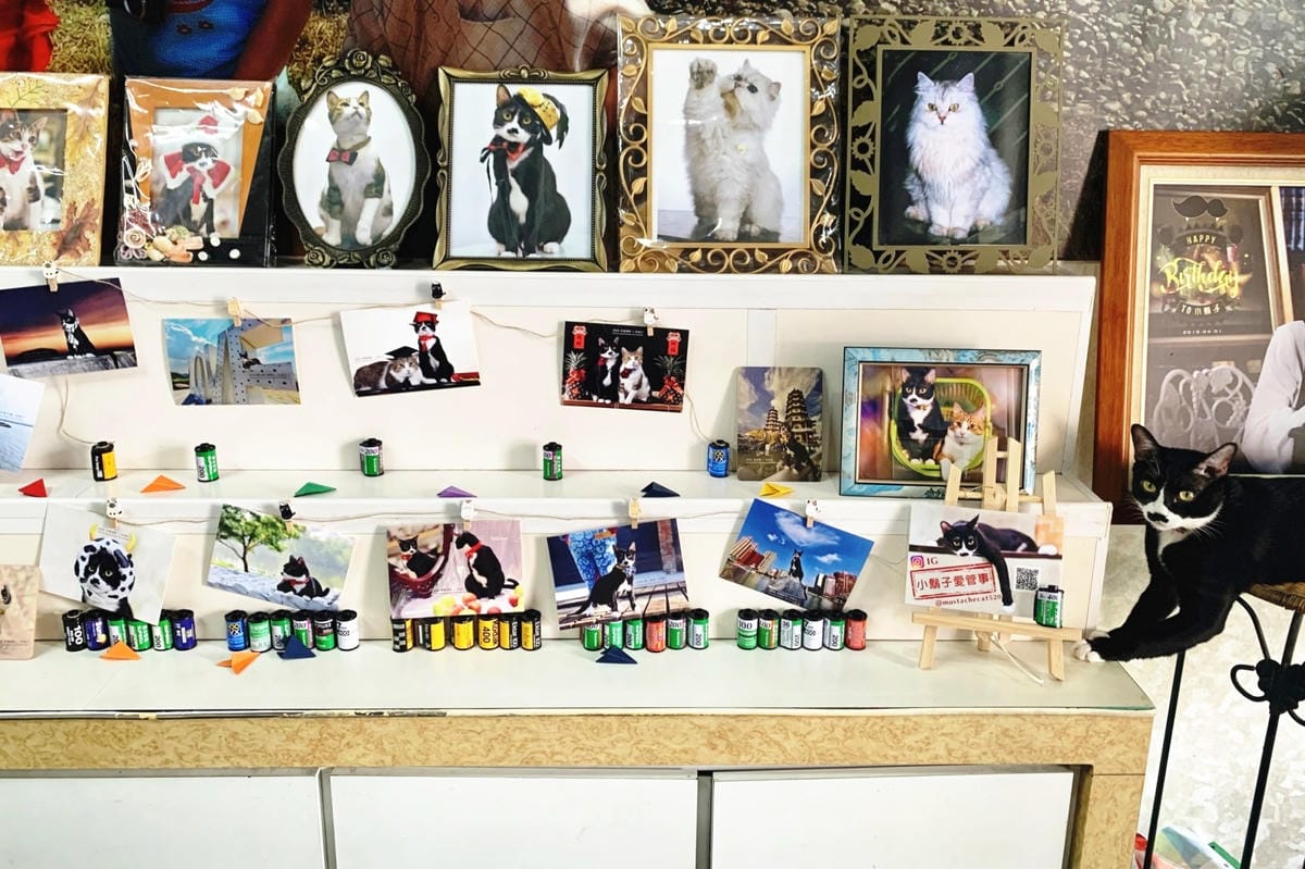 影藝攝影店內環境+貓咪_201022_4_副本.jpg 影藝攝影店內環境+貓咪_201022_4_副本.jpg