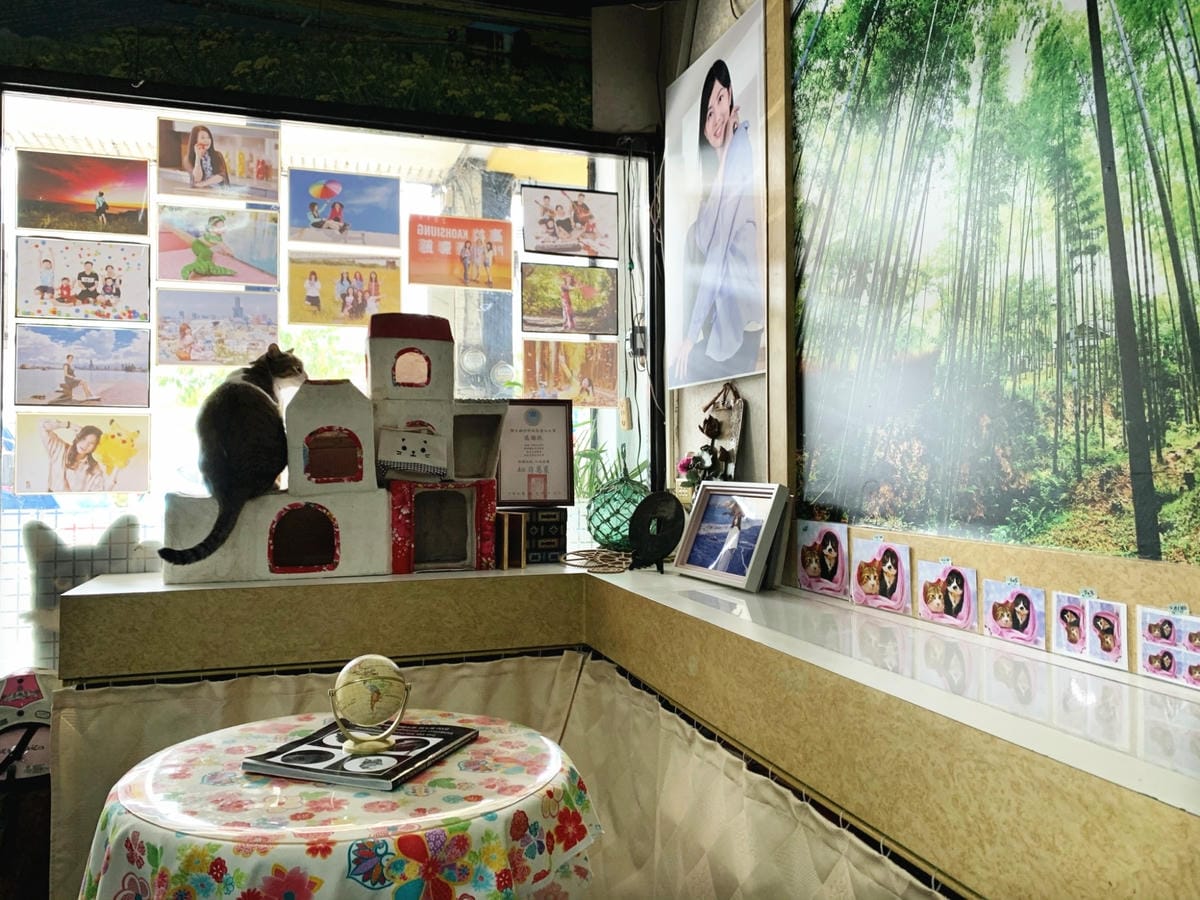 影藝攝影店內環境+貓咪_201022_8_副本.jpg 影藝攝影店內環境+貓咪_201022_8_副本.jpg