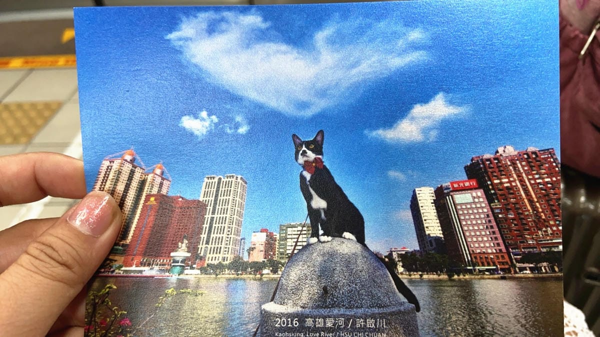 IMG_8796_副本.jpg IMG_8796_副本.jpg