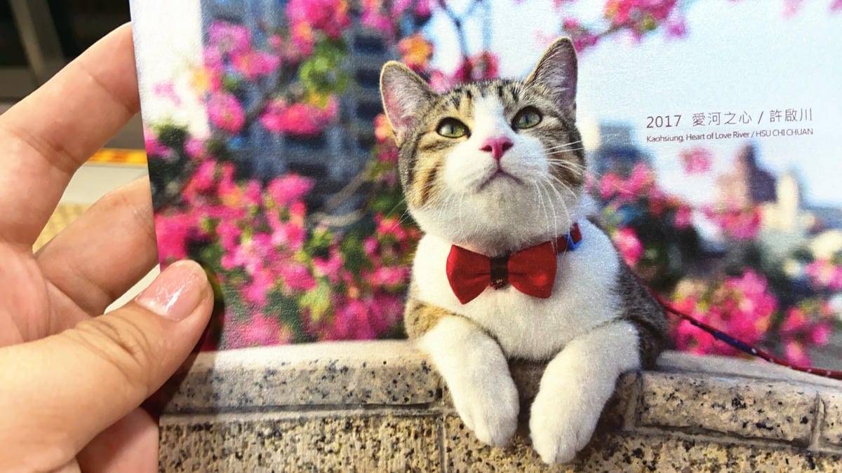 IMG_8797_副本.jpg IMG_8797_副本.jpg