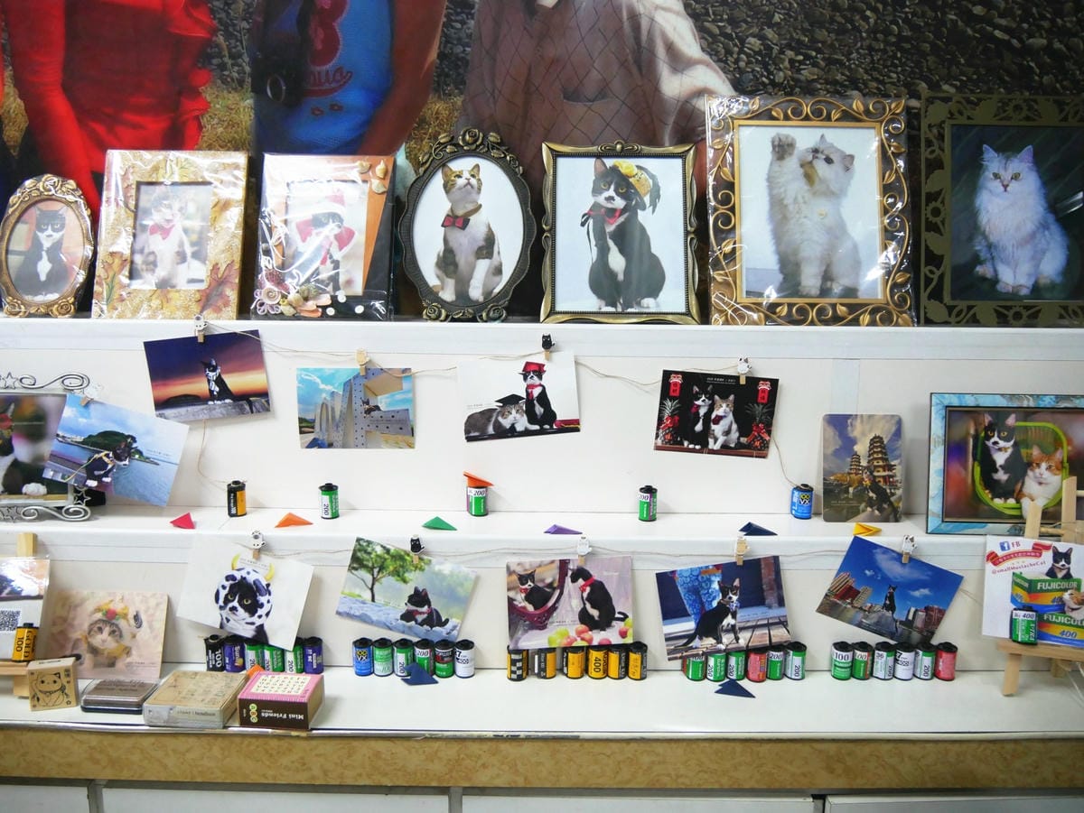 P1800816_副本.jpg P1800816_副本.jpg