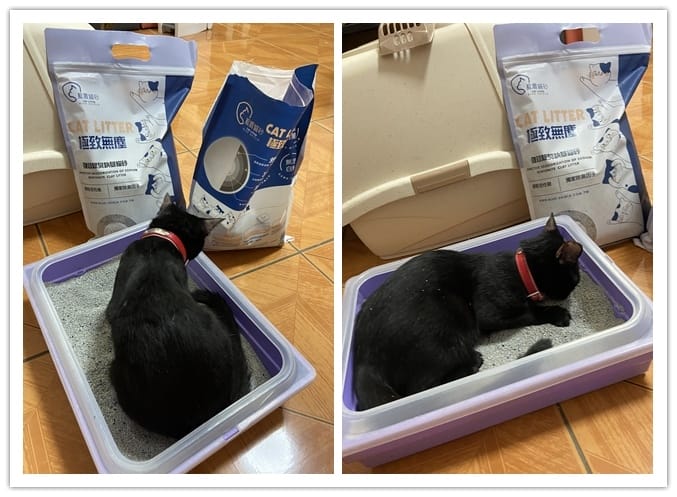 IMG_0600_副本.jpg IMG_0600_副本.jpg