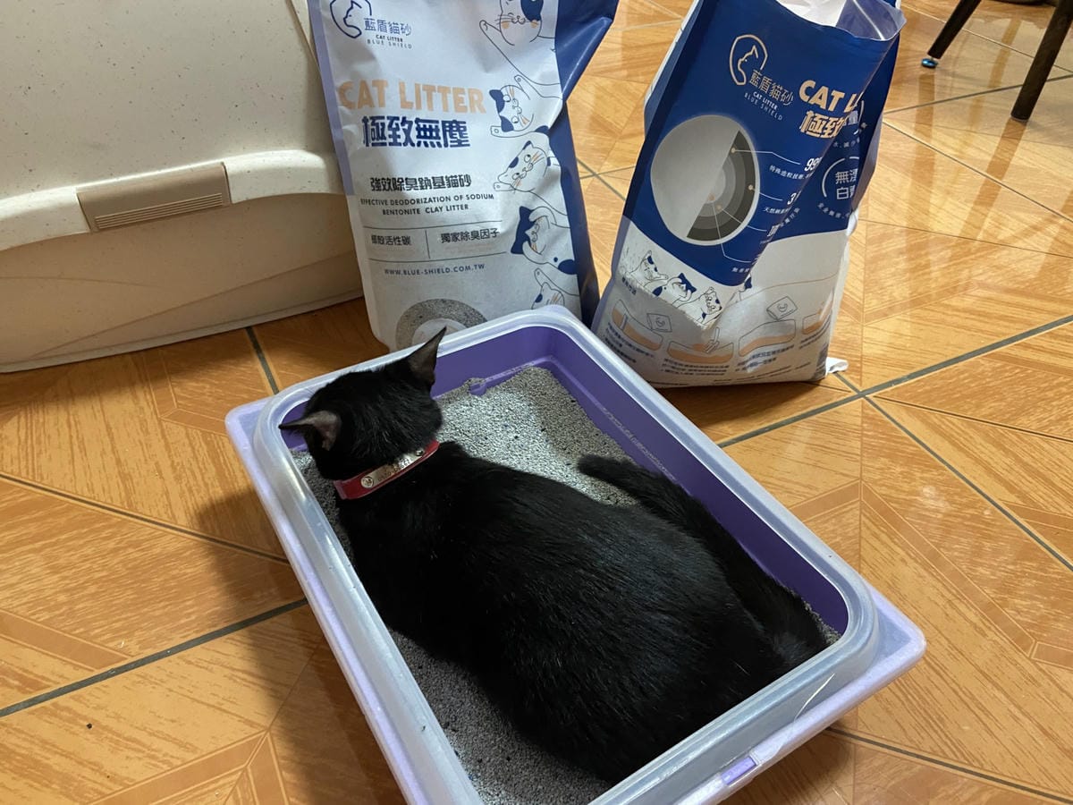 IMG_0605_副本.jpg IMG_0605_副本.jpg