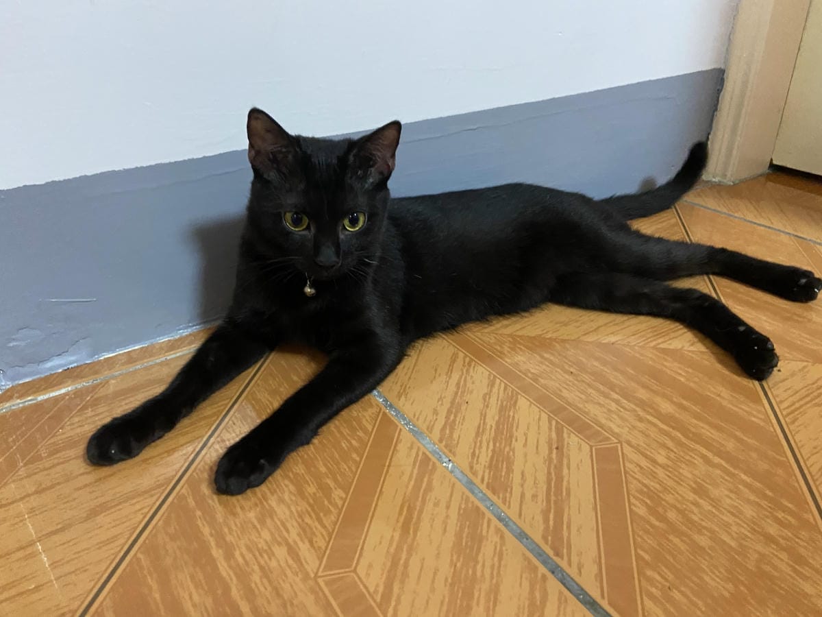 IMG_6886_副本.jpg IMG_6886_副本.jpg