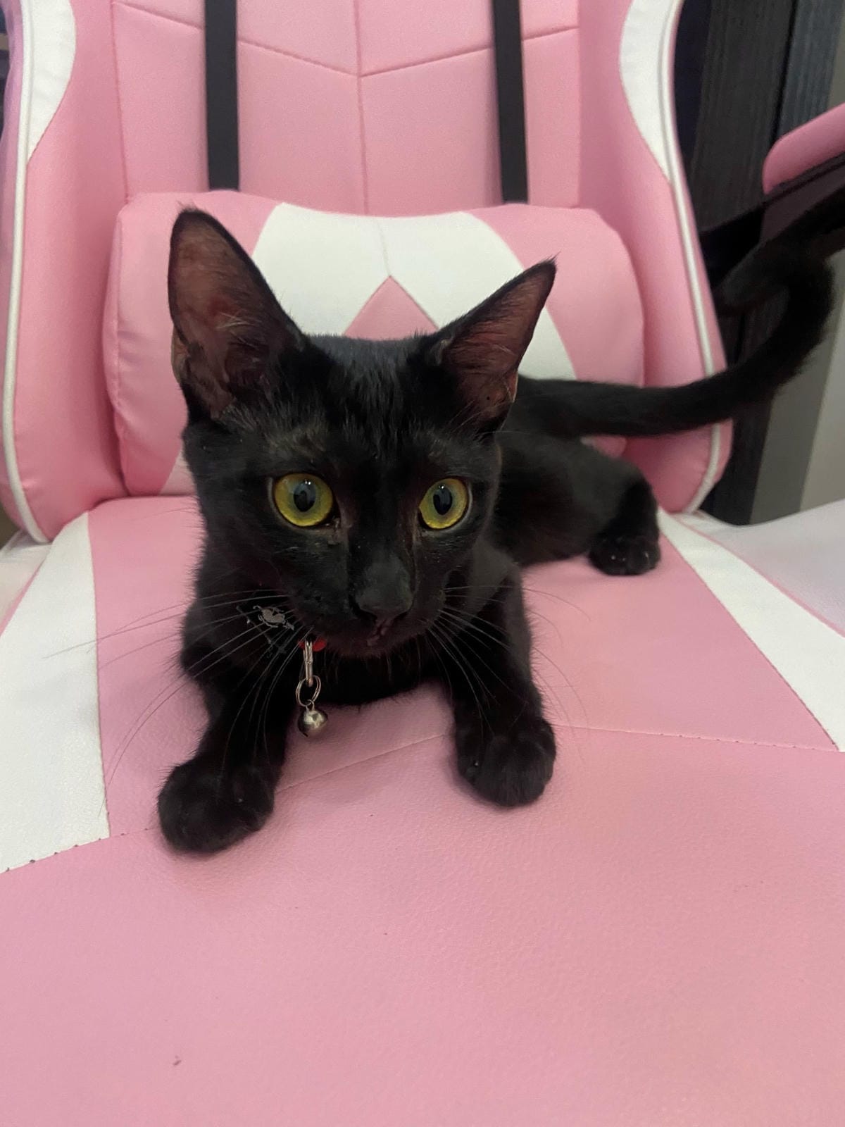 IMG_3828_副本.jpg IMG_3828_副本.jpg