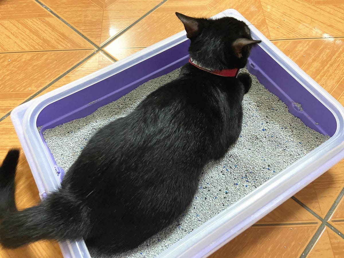 IMG_0629_副本.jpg IMG_0629_副本.jpg