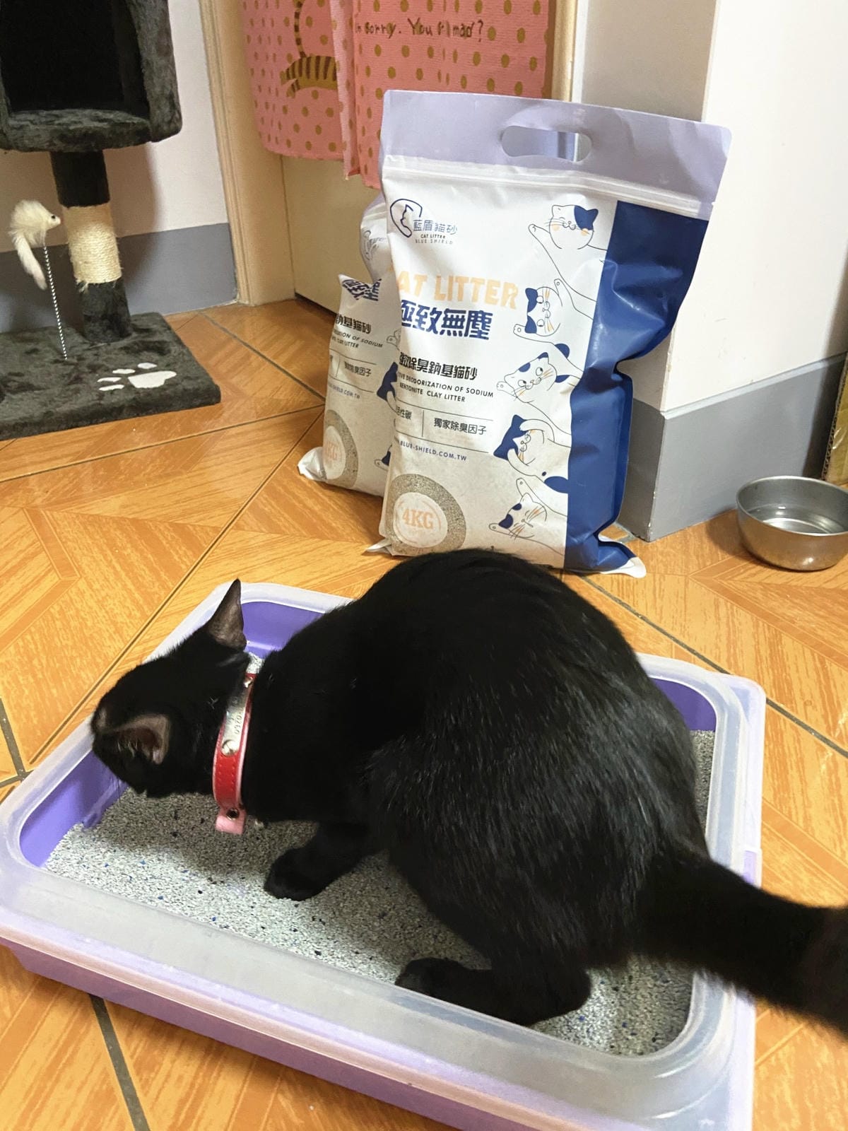 IMG_0631_副本.jpg IMG_0631_副本.jpg