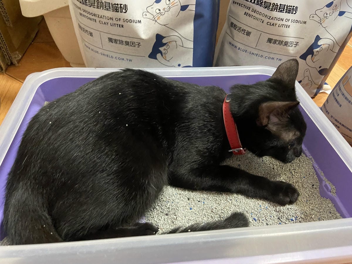 IMG_0615_副本.jpg IMG_0615_副本.jpg