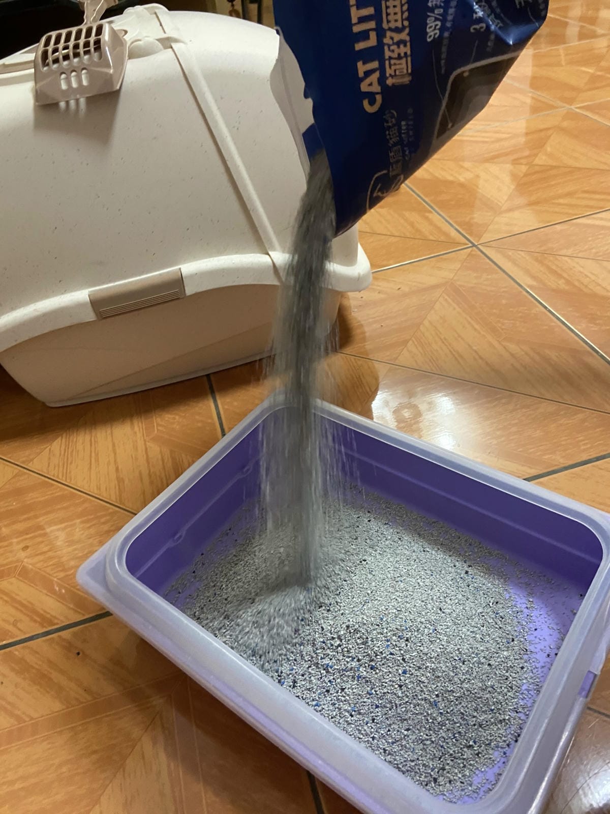 IMG_0586_副本.jpg IMG_0586_副本.jpg