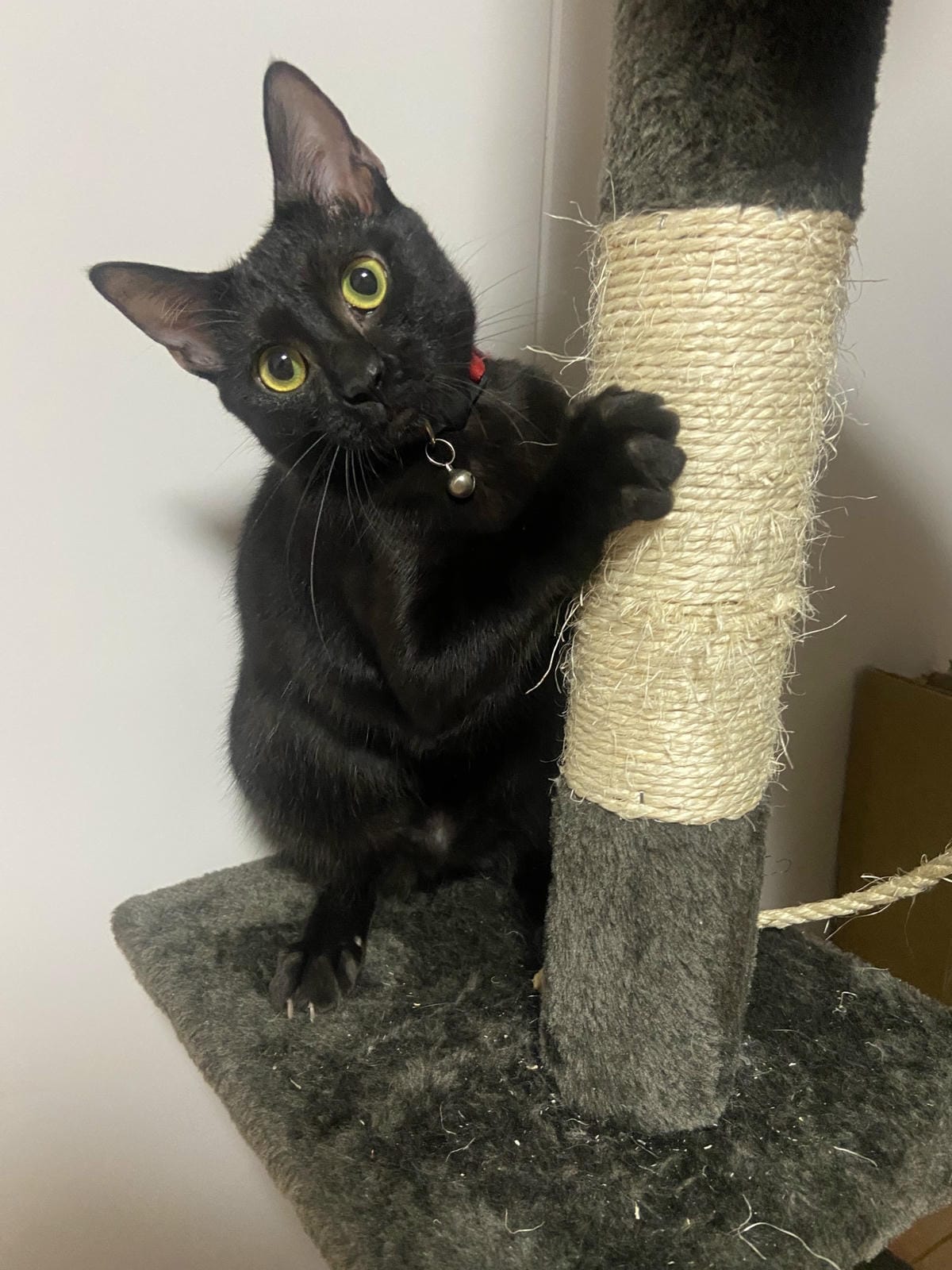 IMG_5804_副本.jpg IMG_5804_副本.jpg