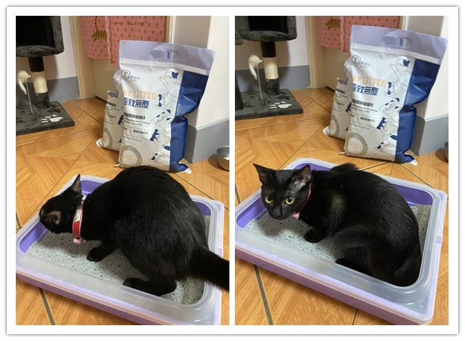 IMG_0631_副本444.jpg IMG_0631_副本444.jpg