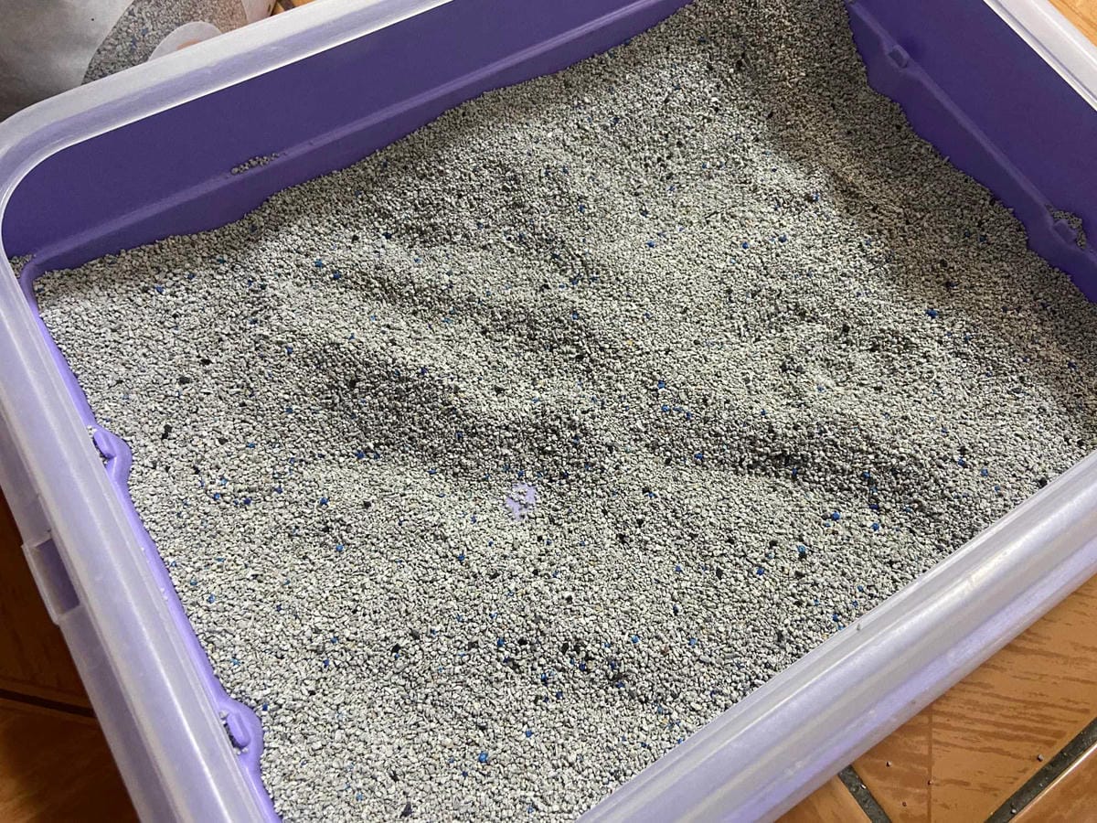 IMG_0624_副本.jpg IMG_0624_副本.jpg