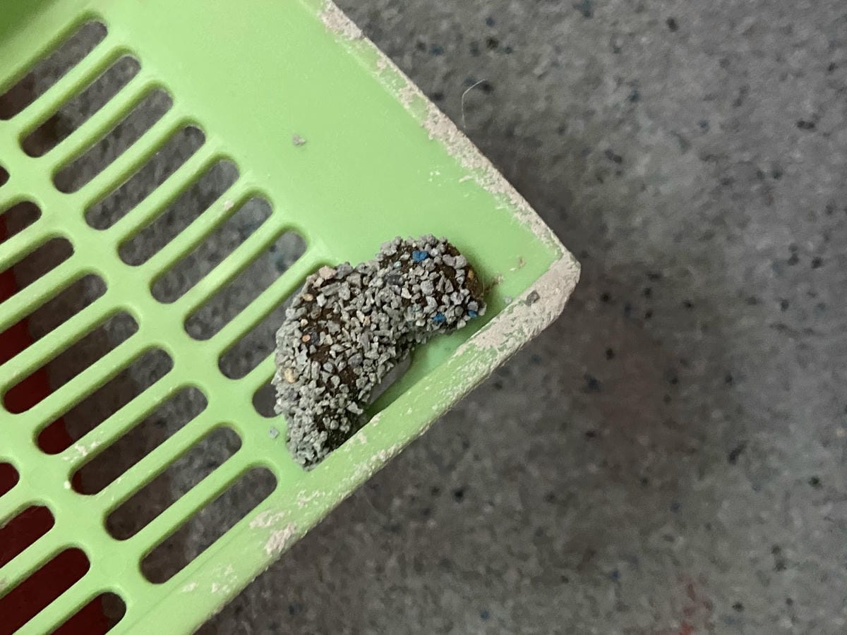 IMG_0665_副本.jpg IMG_0665_副本.jpg