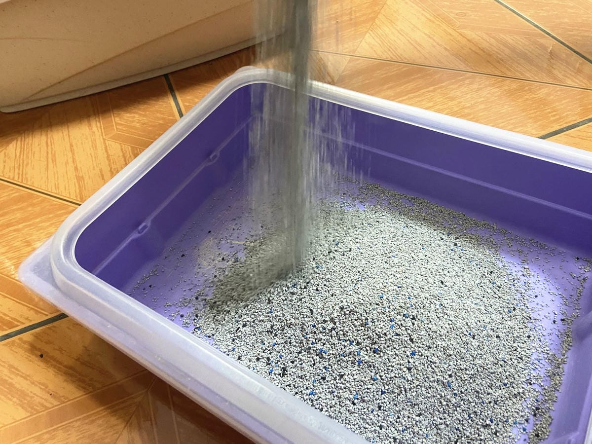 IMG_0585_副本.jpg IMG_0585_副本.jpg