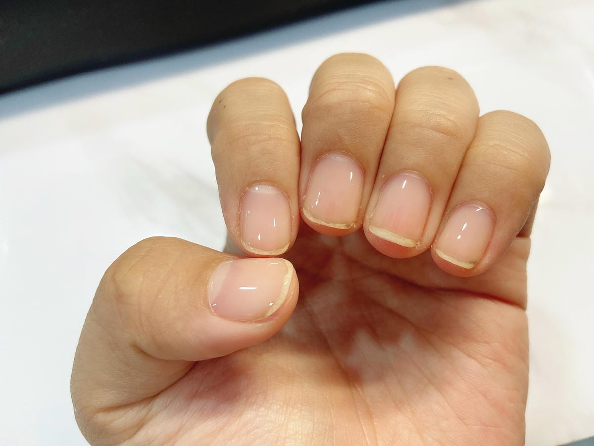 IMG_9186_副本.jpg IMG_9186_副本.jpg