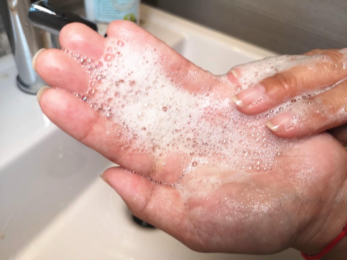 118052341_229867491703442_5368707004485116606_n_副本.jpg 118052341_229867491703442_5368707004485116606_n_副本.jpg