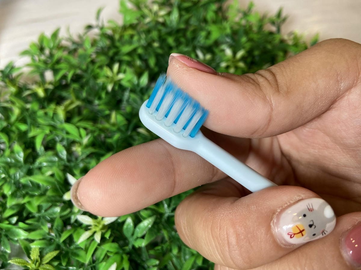 IMG_1249_副本.jpg IMG_1249_副本.jpg