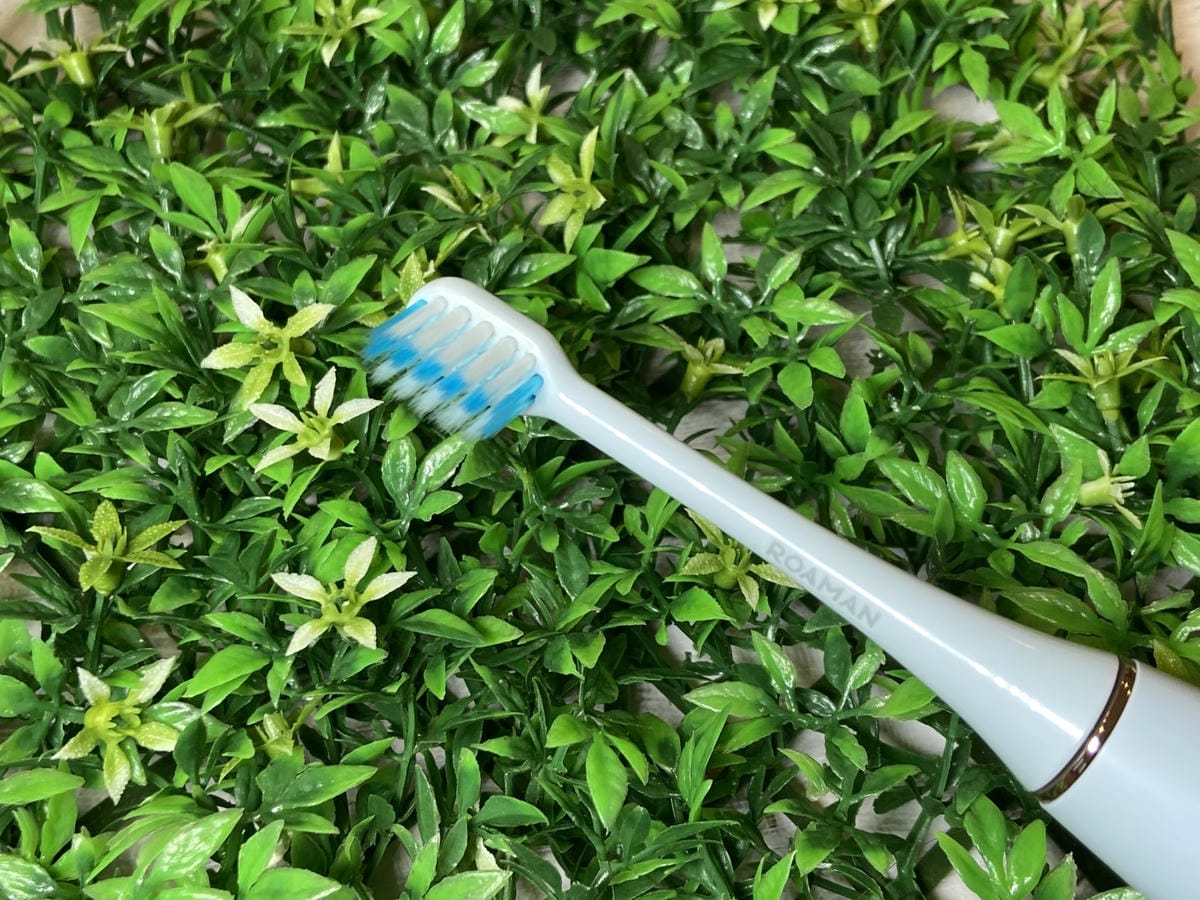 IMG_1248_副本.jpg IMG_1248_副本.jpg