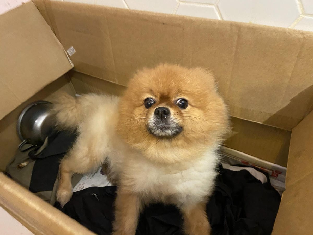 IMG_1341_副本.jpg IMG_1341_副本.jpg