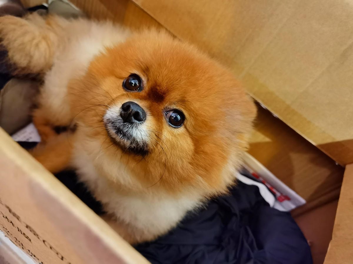 122974105_3423126217780245_5288776962467713532_n_副本.jpg 122974105_3423126217780245_5288776962467713532_n_副本.jpg