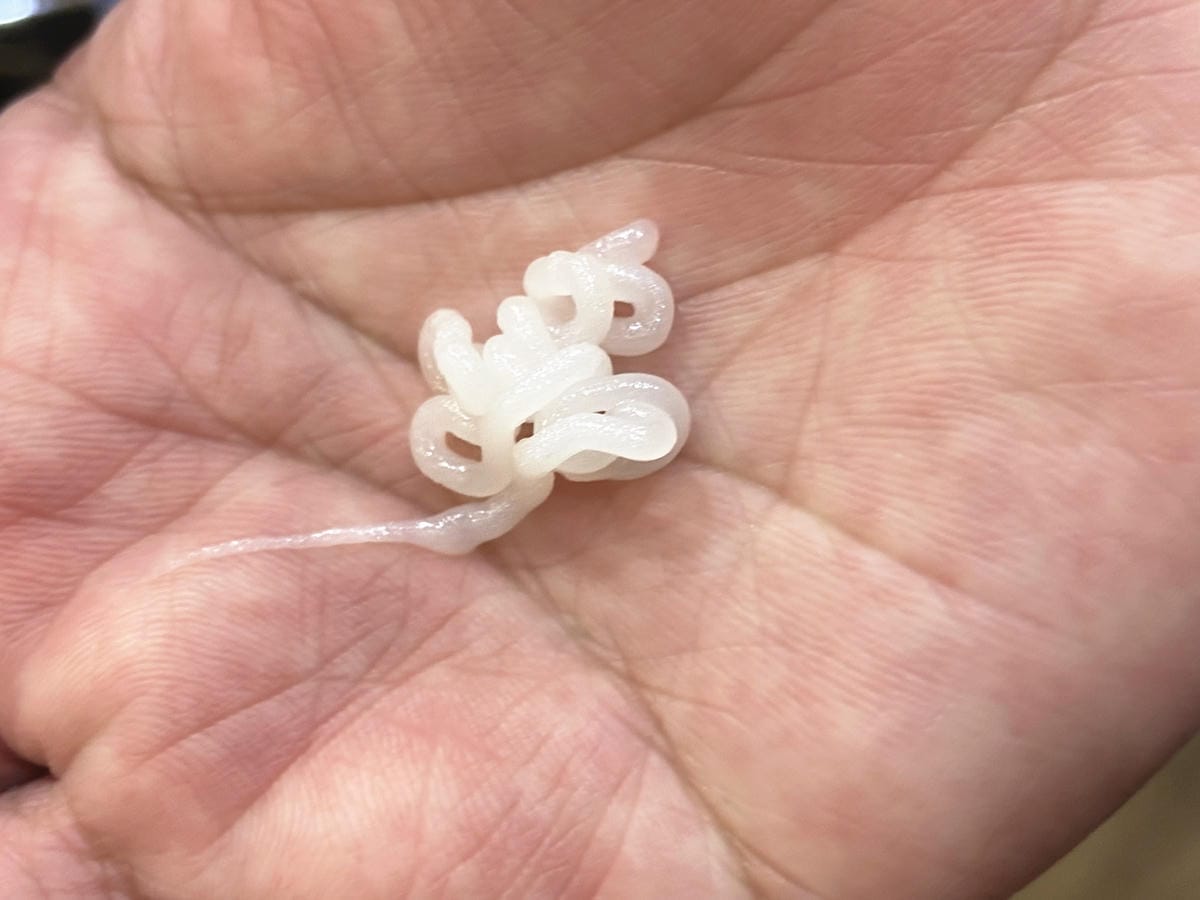 IMG_0530_副本.jpg IMG_0530_副本.jpg