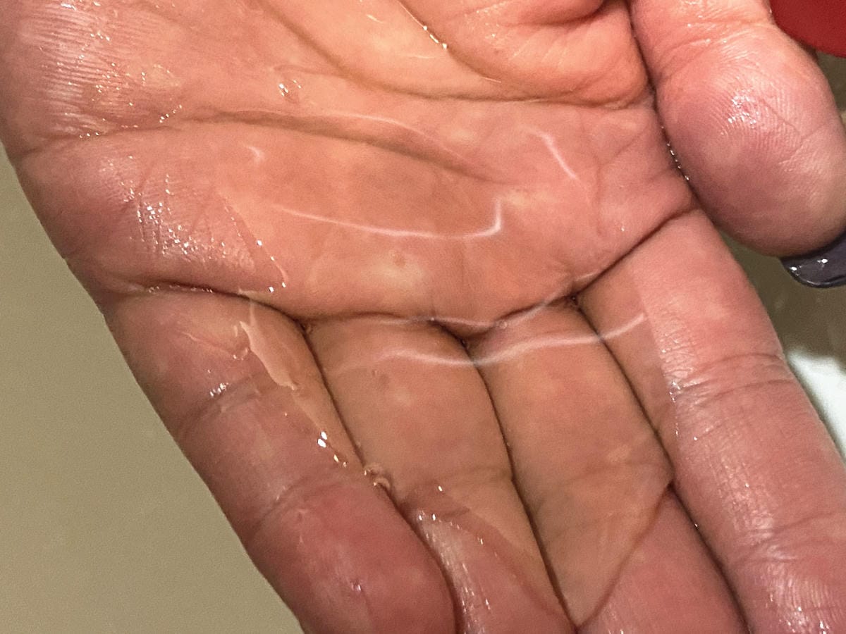 IMG_0511_副本.jpg IMG_0511_副本.jpg