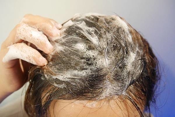 1551377251-1667445115.jpg 1551377251-1667445115.jpg