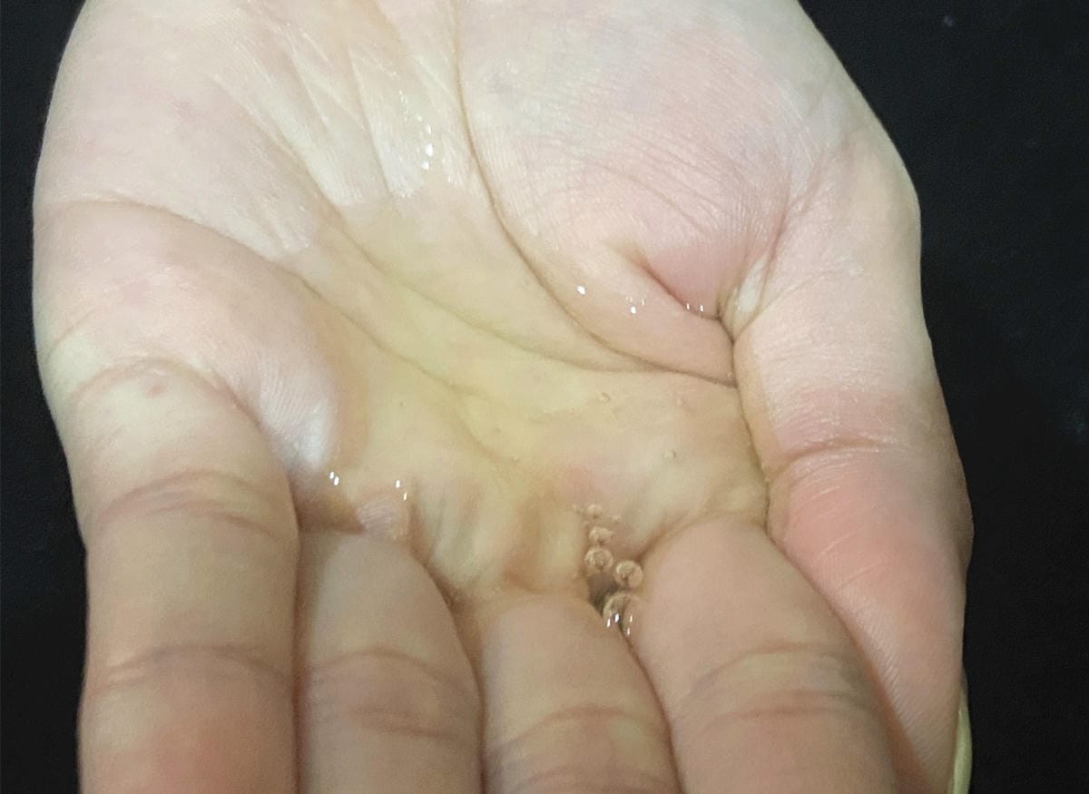 IMG_3049_副本.jpg IMG_3049_副本.jpg