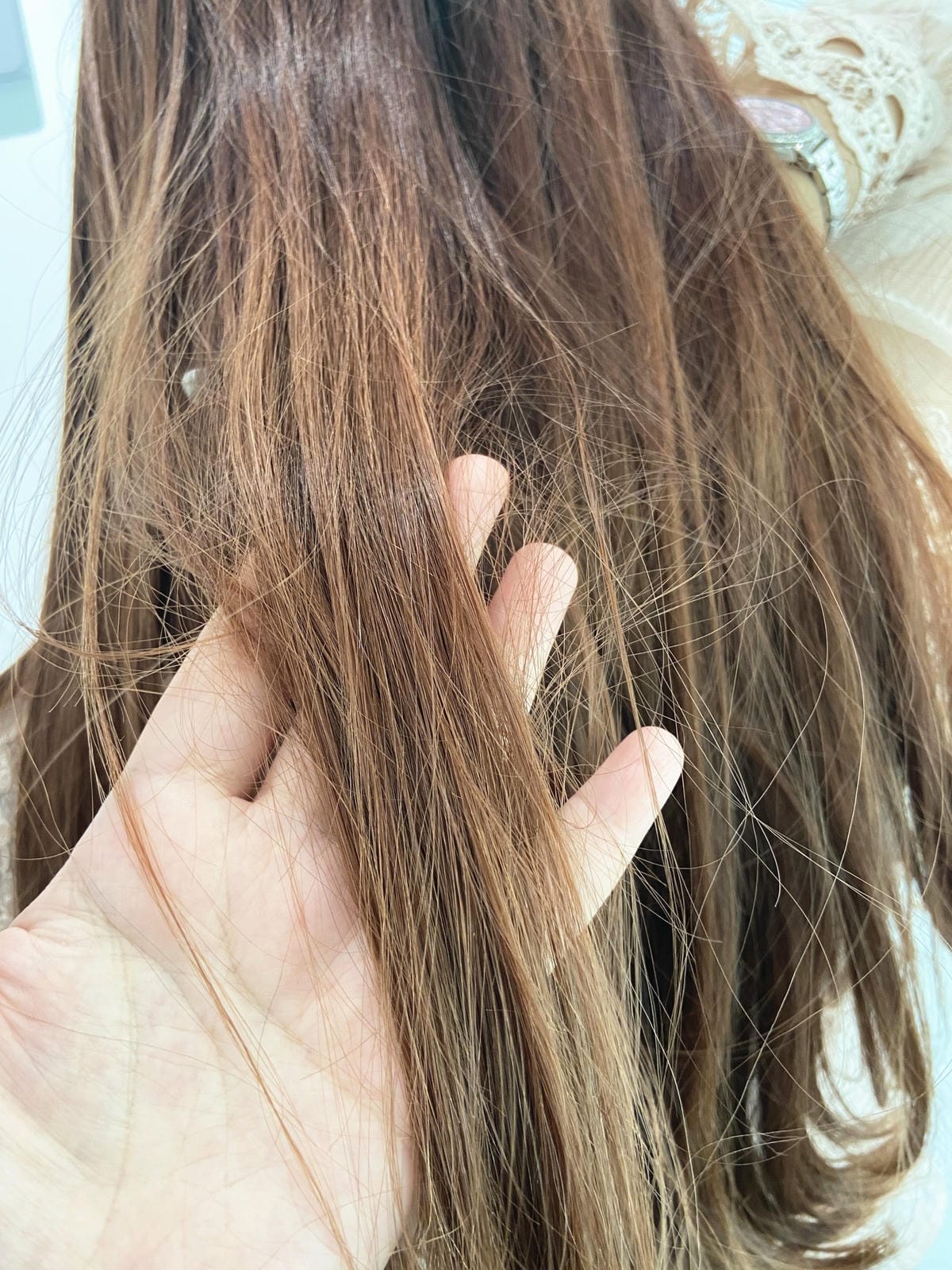 IMG_4756_副本.jpg IMG_4756_副本.jpg