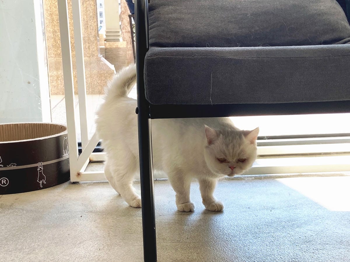 IMG_4740_副本.jpg IMG_4740_副本.jpg