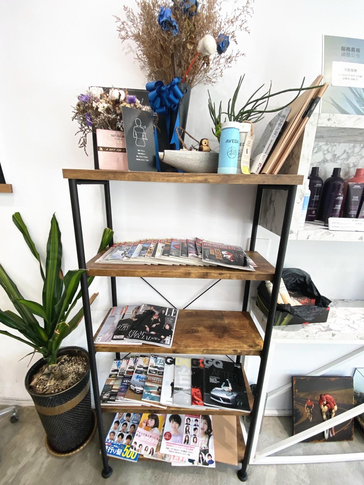 IMG_4746_副本.jpg IMG_4746_副本.jpg