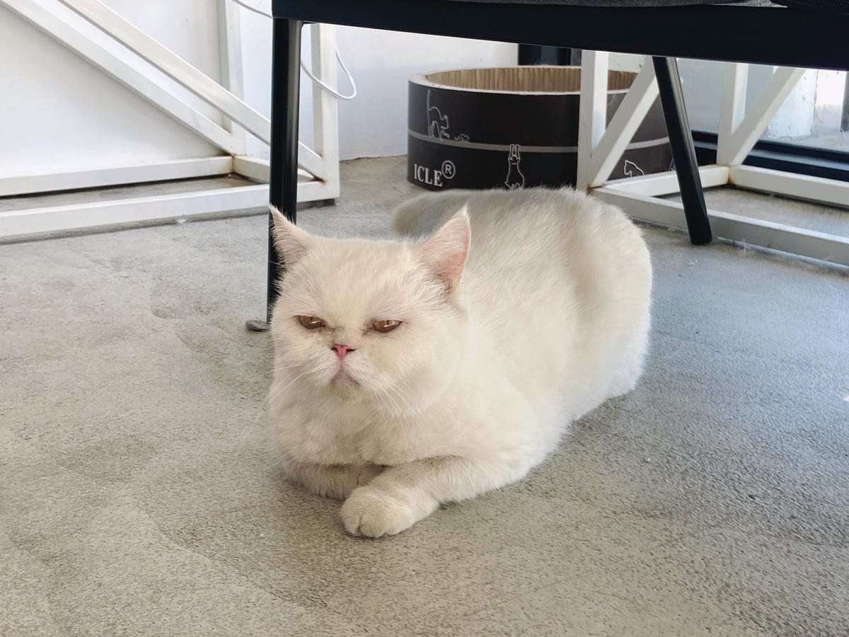 IMG_4741_副本.jpg IMG_4741_副本.jpg