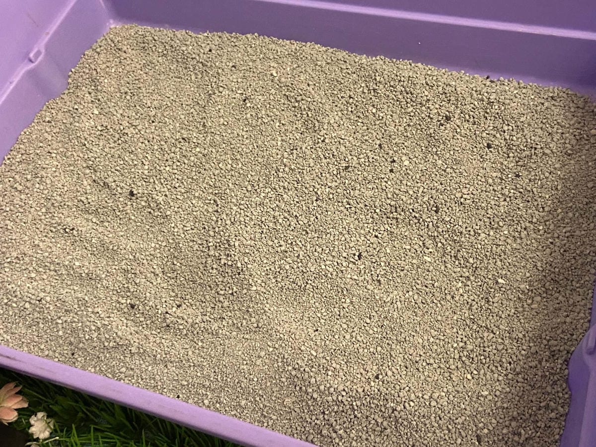 IMG_3328_副本.jpg IMG_3328_副本.jpg