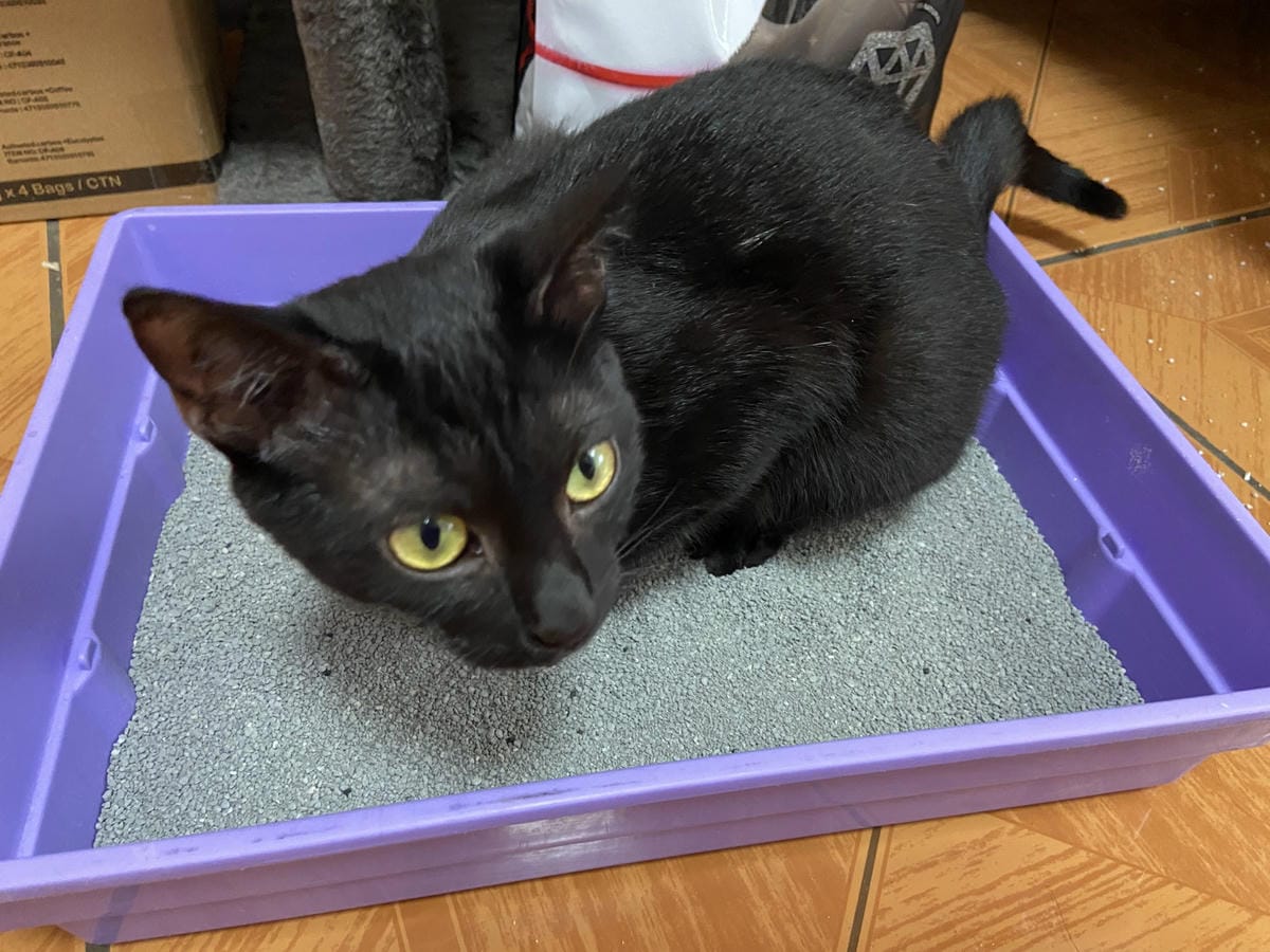 IMG_3348_副本.jpg IMG_3348_副本.jpg