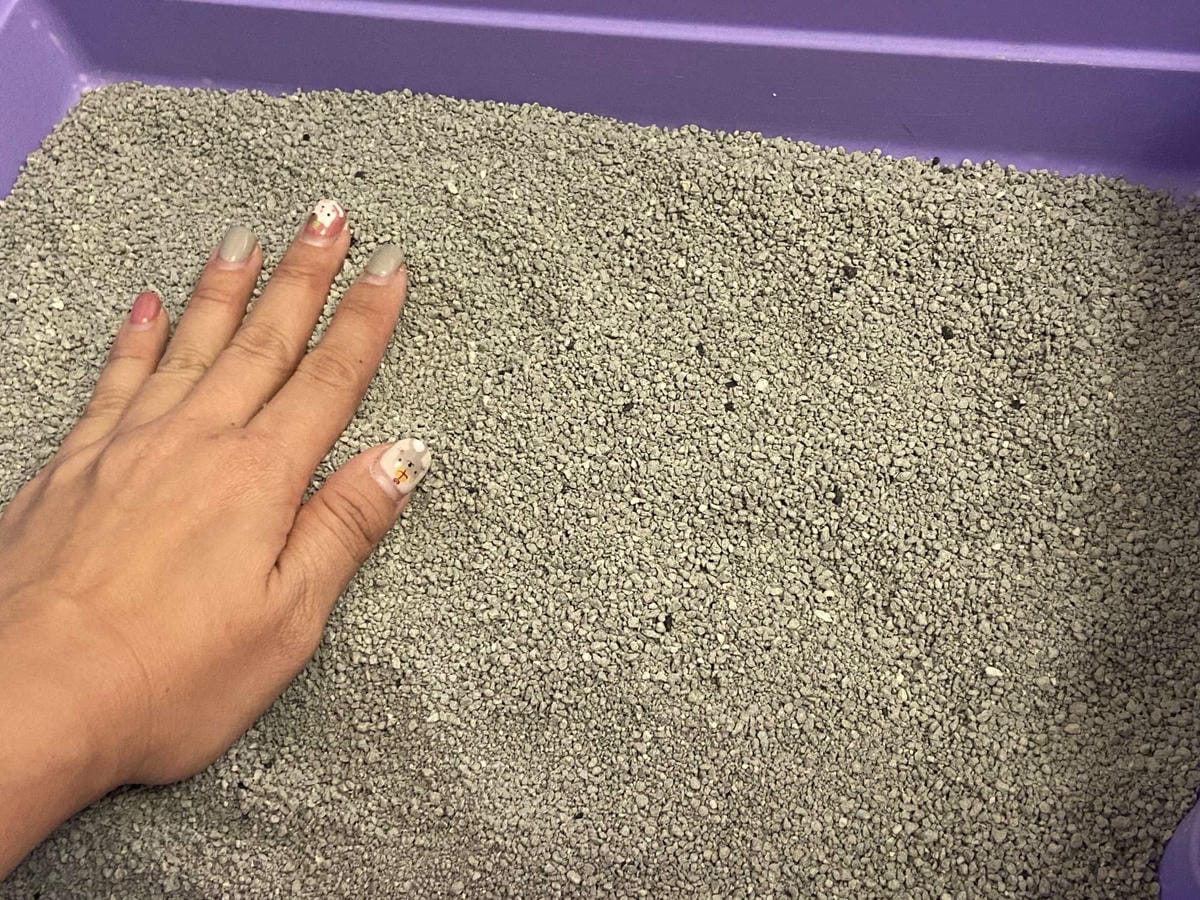 IMG_3329_副本.jpg IMG_3329_副本.jpg