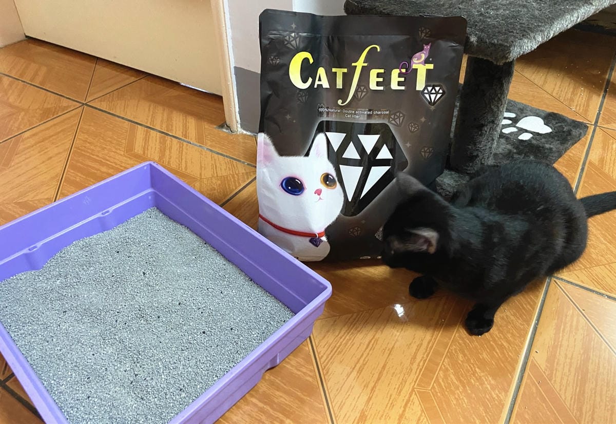 IMG_3358_副本.jpg IMG_3358_副本.jpg