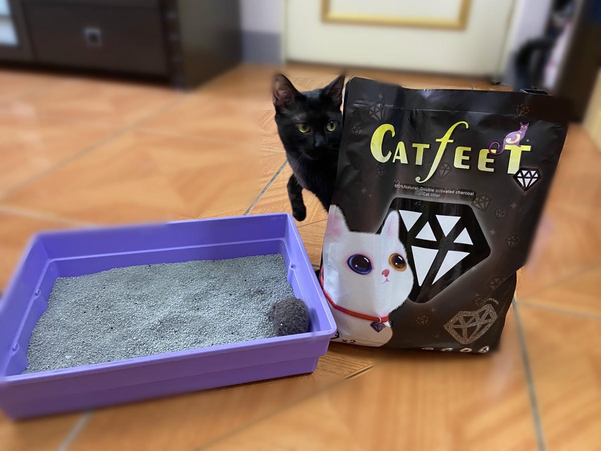 IMG_3365_副本.jpg IMG_3365_副本.jpg