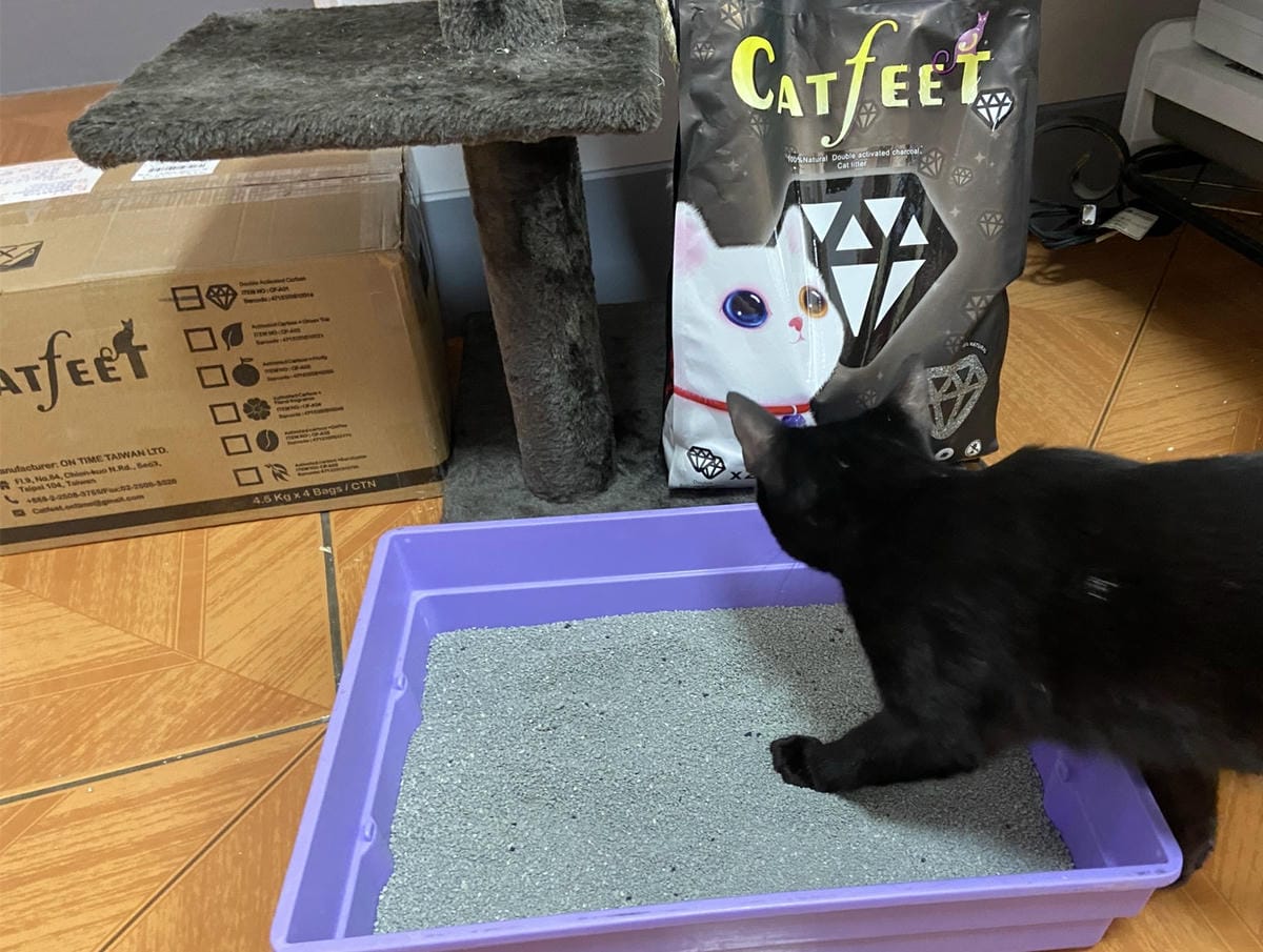 IMG_3349_副本.jpg IMG_3349_副本.jpg