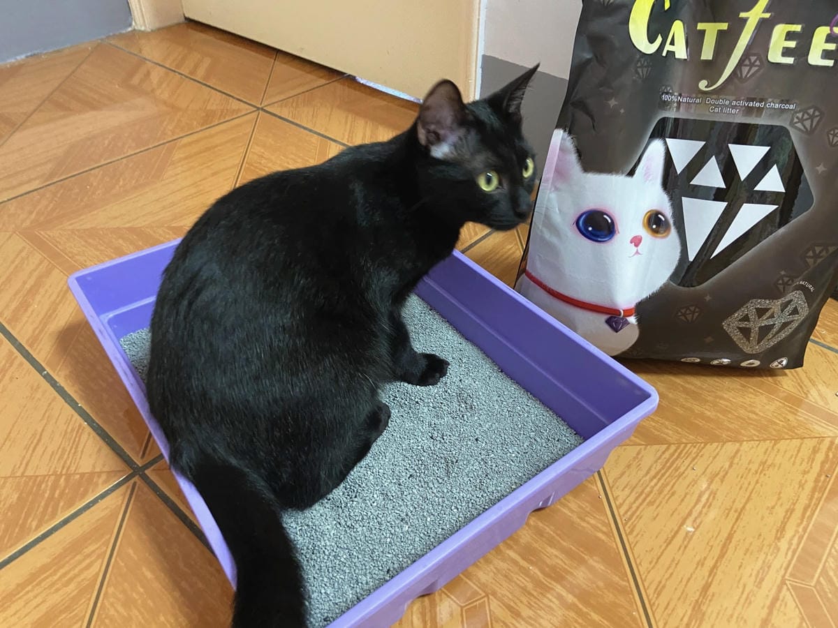 IMG_3361_副本.jpg IMG_3361_副本.jpg